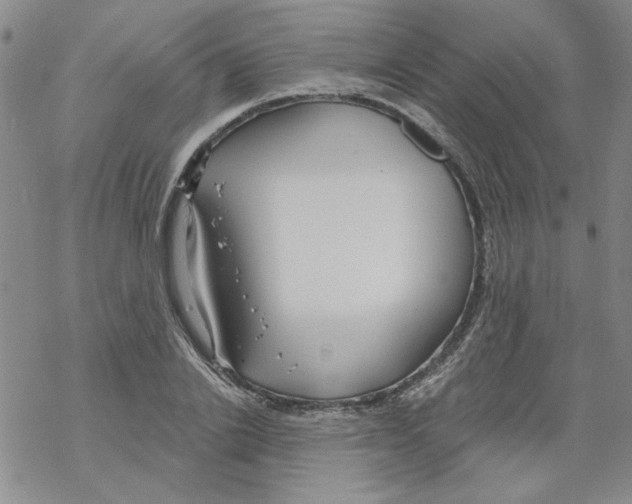 X0000067920838200605112006