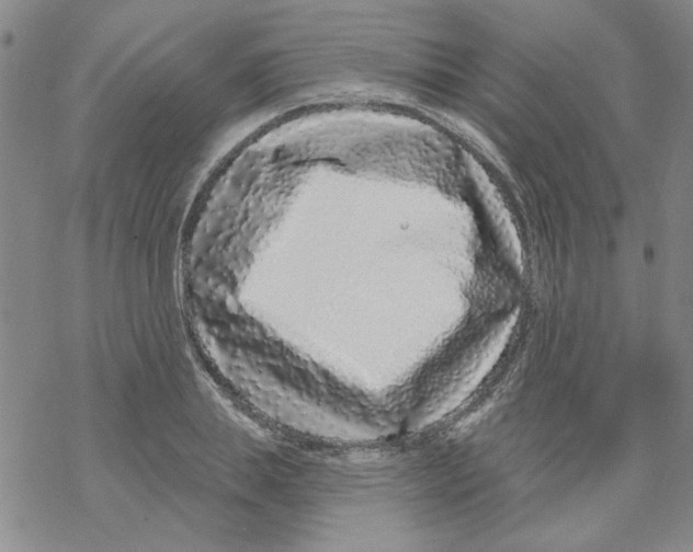 X0000067920839200605112006