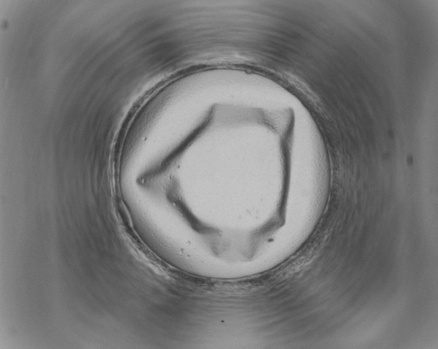 X0000067920840200605112006