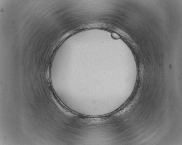 X0000067920841200605112006