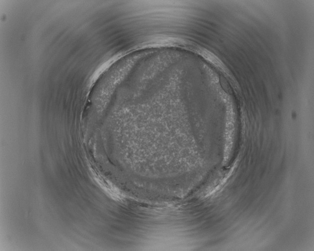 X0000067920842200605112006