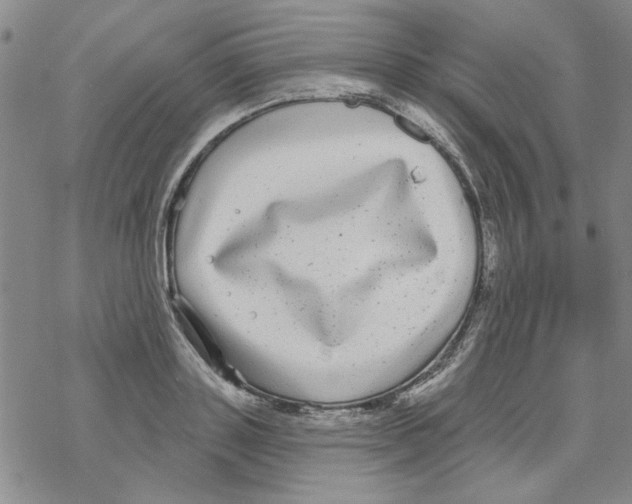 X0000067920843200605112006