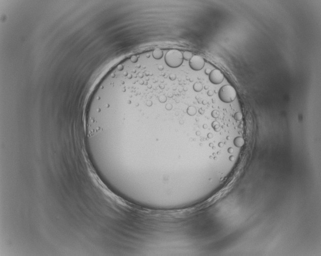 X0000067920844200605112006