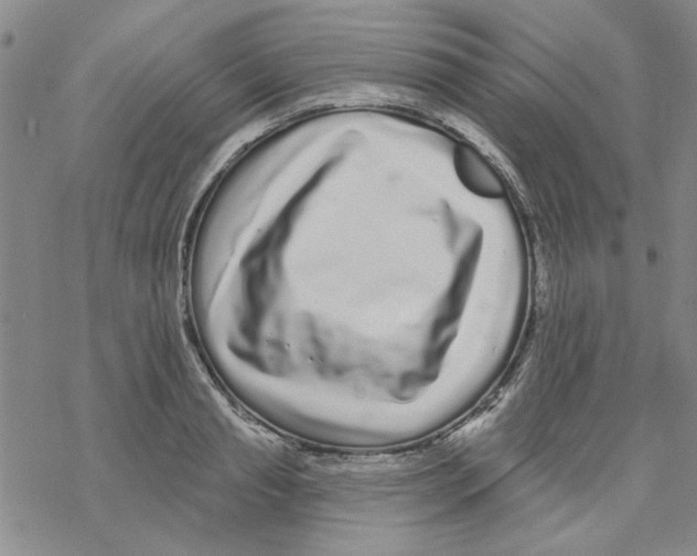 X0000067920845200605112006