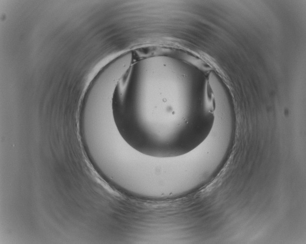 X0000067920846200605112006