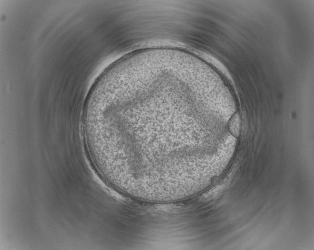 X0000067920847200605112006