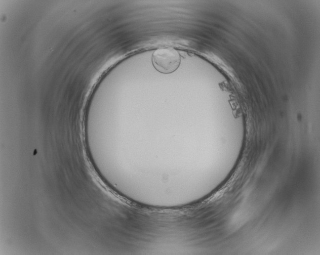 X0000067920848200605112006