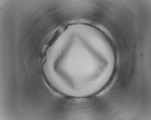 X0000067920849200605112006