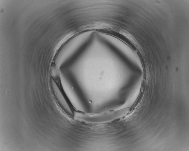 X0000067920850200605112006