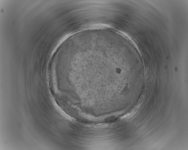 X0000067920851200605112006