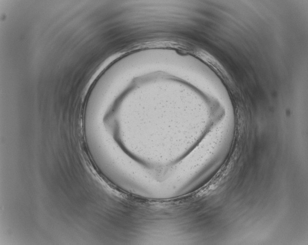 X0000067920852200605112006