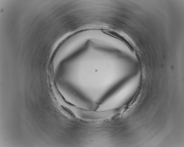 X0000067920854200605112006