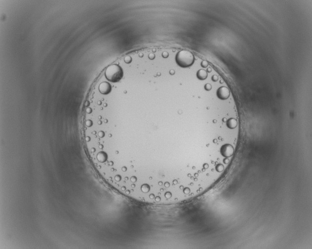 X0000067920856200605112006