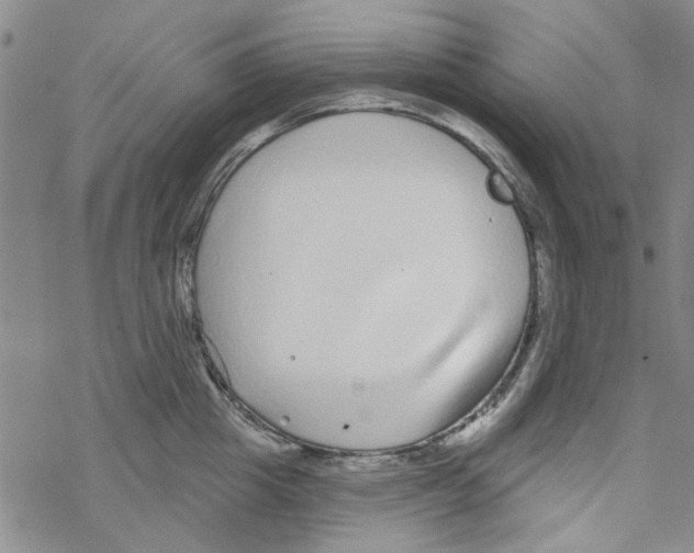 X0000067920857200605112006