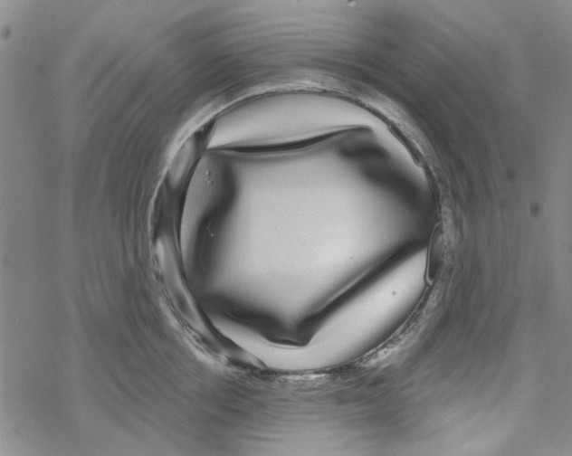 X0000067920858200605112006