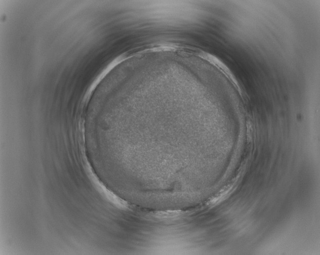 X0000067920859200605112006