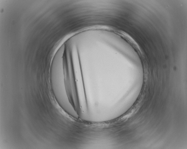 X0000067920860200605112006