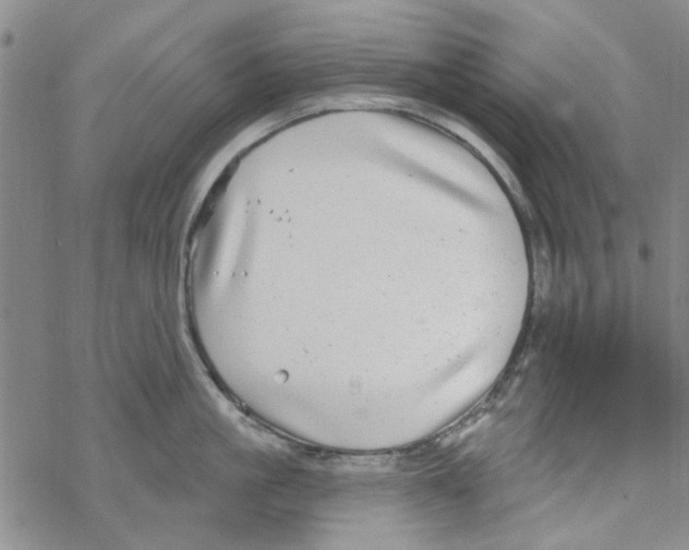 X0000067920861200605112006