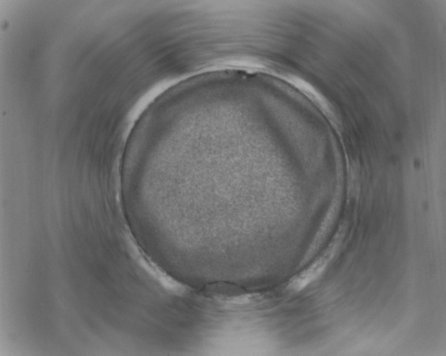 X0000067920862200605112006