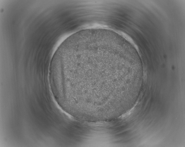 X0000067920863200605112007