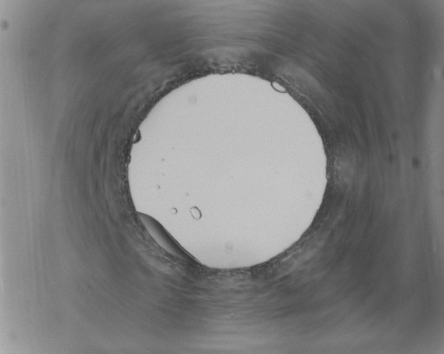 X0000067920865200605112006