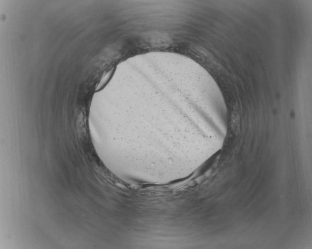 X0000067920866200605112006