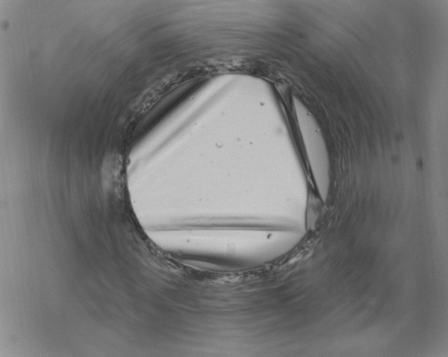 X0000067920867200605112006