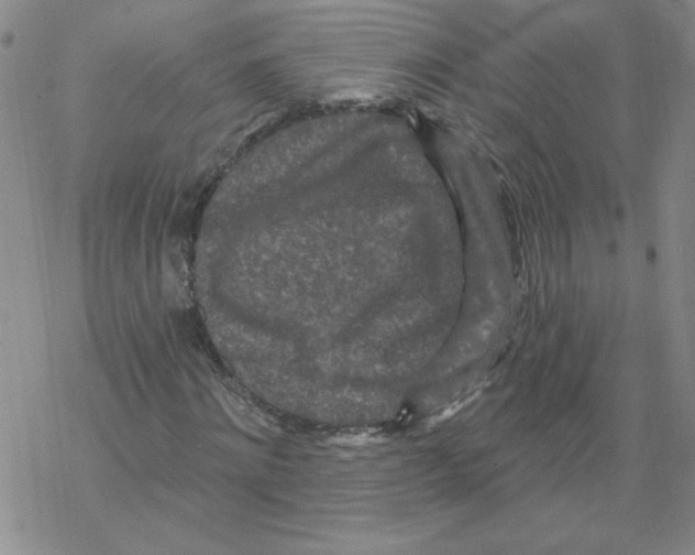 X0000067920868200605112006