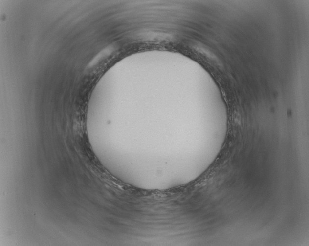 X0000067920869200605112006