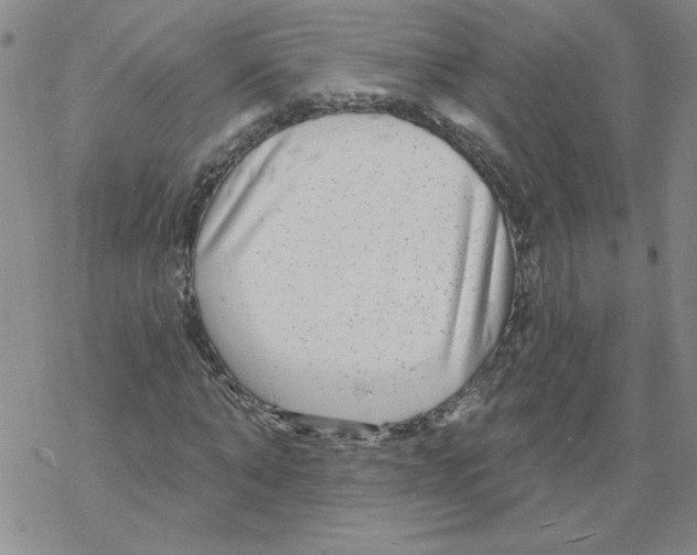 X0000067920870200605112006