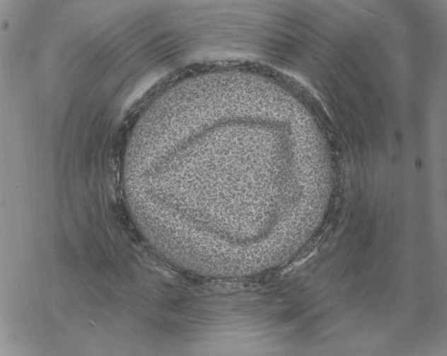 X0000067920871200605112006