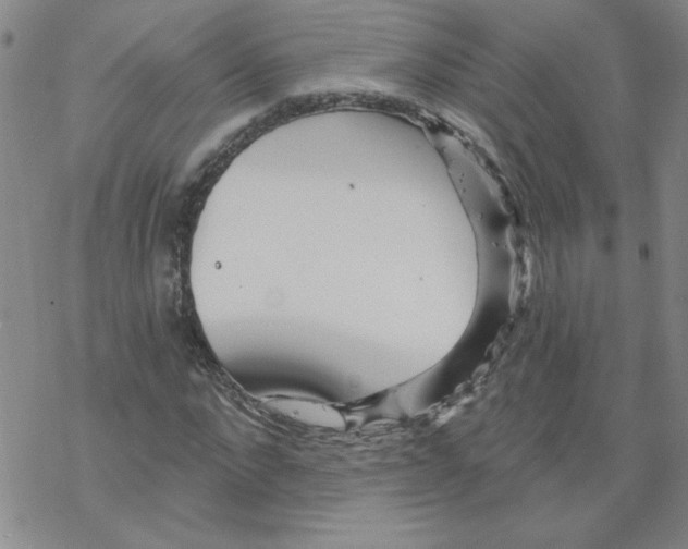 X0000067920872200605112006