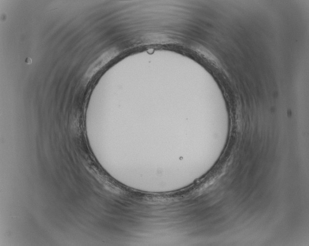 X0000067920873200605112006