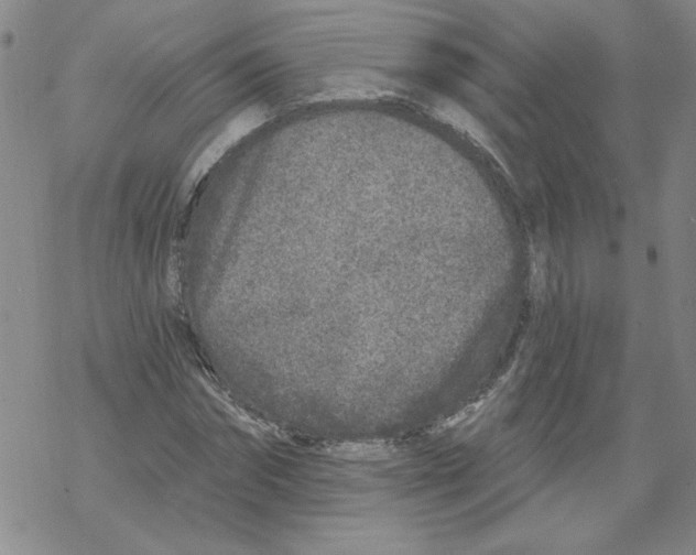 X0000067920874200605112006