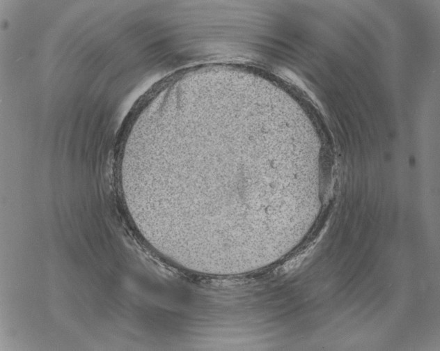 X0000067920875200605112006