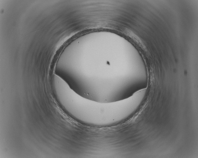 X0000067920876200605112006