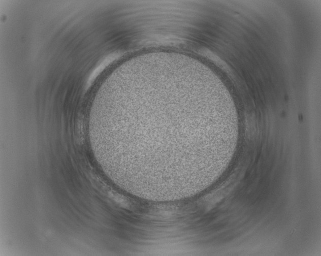 X0000067920878200605112006