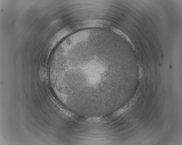 X0000067920882200605112005