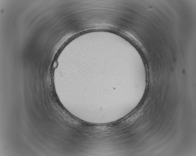 X0000067920883200605112005