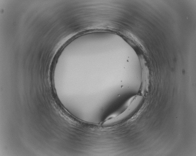 X0000067920884200605112005