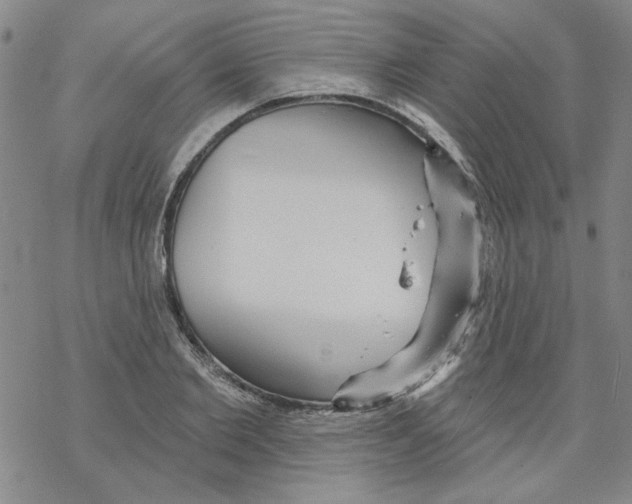 X0000067920885200605112005