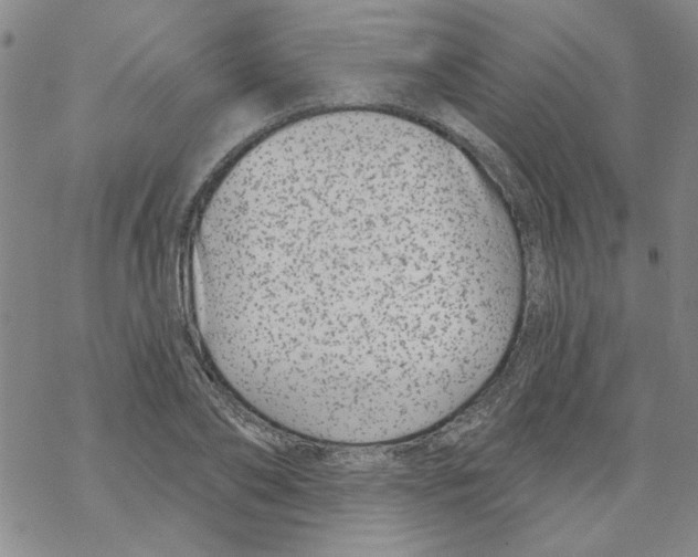 X0000067920886200605112005