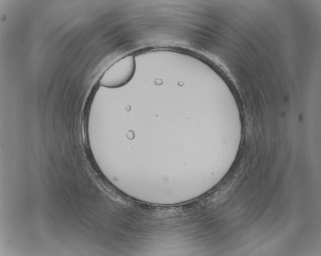 X0000067920887200605112005