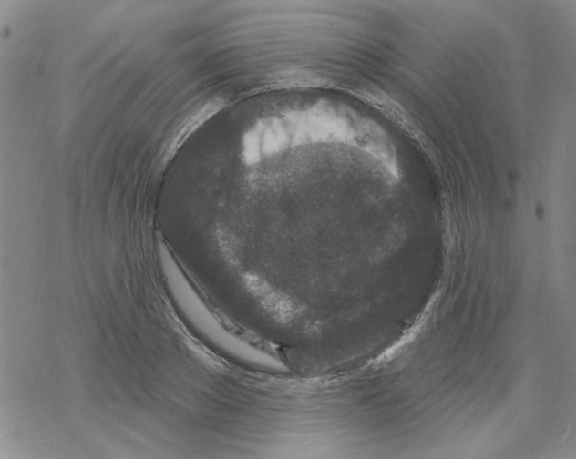 X0000067920889200605112005