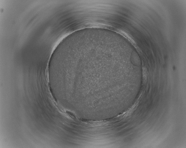 X0000067920891200605112005