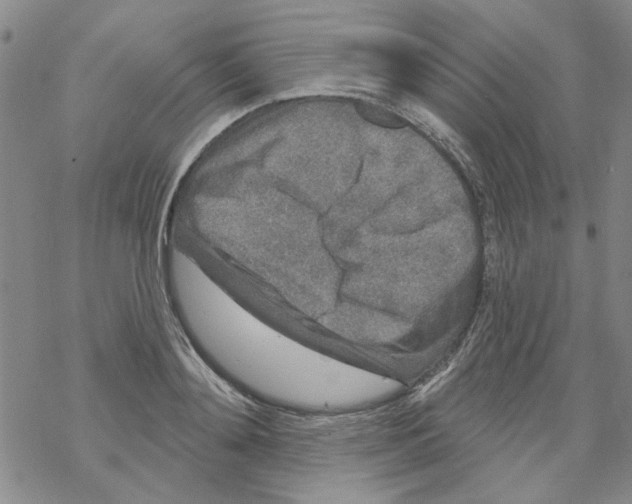 X0000067920892200605112005