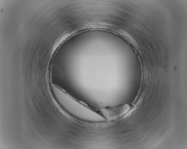 X0000067920893200605112005