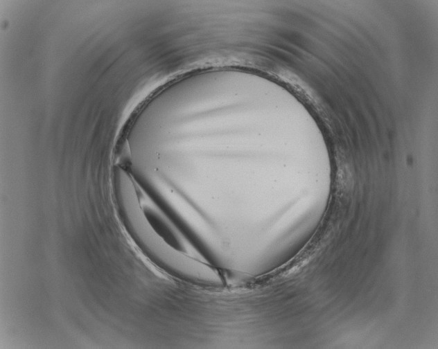 X0000067920894200605112005