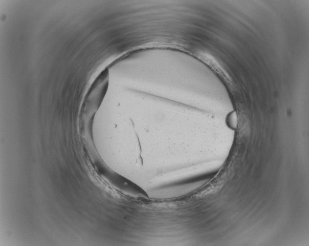 X0000067920900200605112005