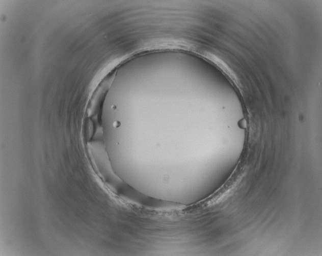 X0000067920901200605112005